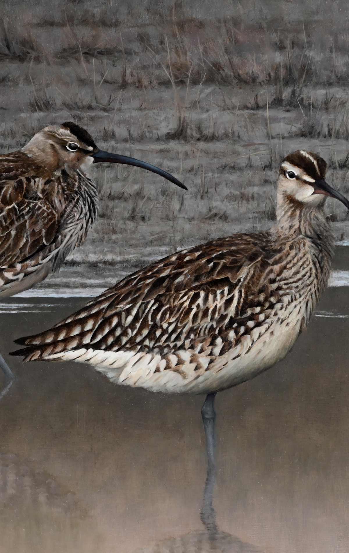 Whimbrels - Heading North - An Original Oil Painting By Bird Artist Chris Lodge