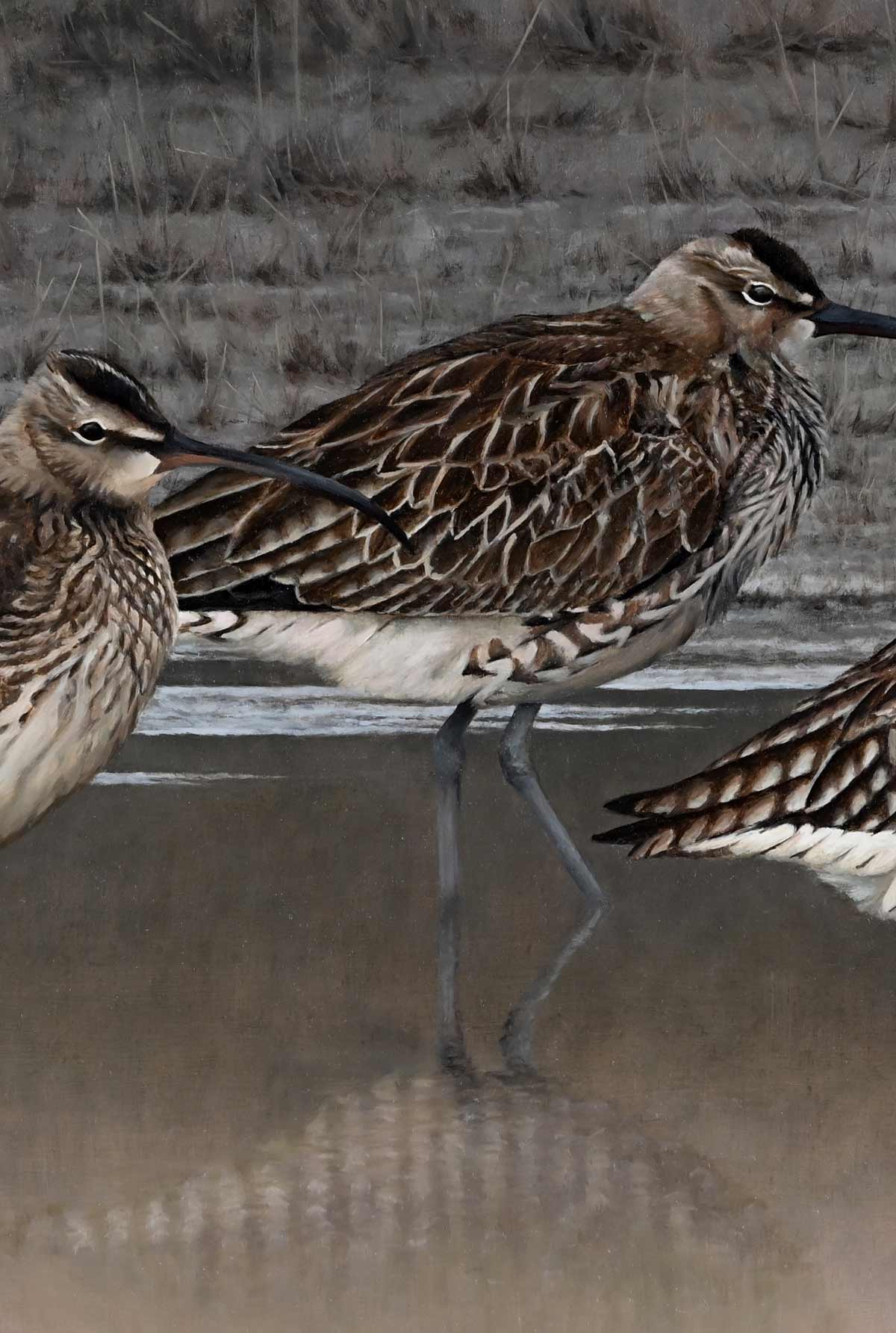 Whimbrels - Heading North - An Original Oil Painting By Bird Artist Chris Lodge
