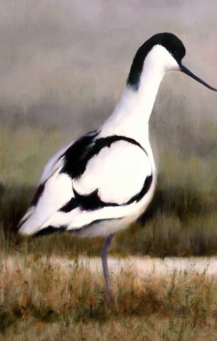 Avocet Pair - An Original Oil Painting By Bird Artist Chris Lodge