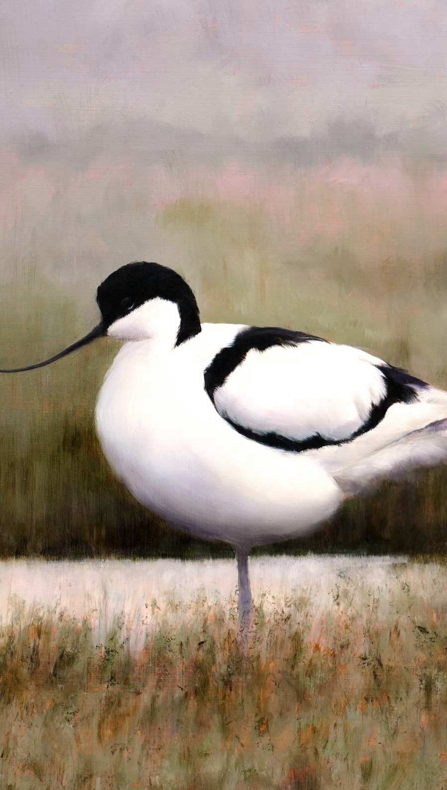 Avocet Pair - An Original Oil Painting By Bird Artist Chris Lodge