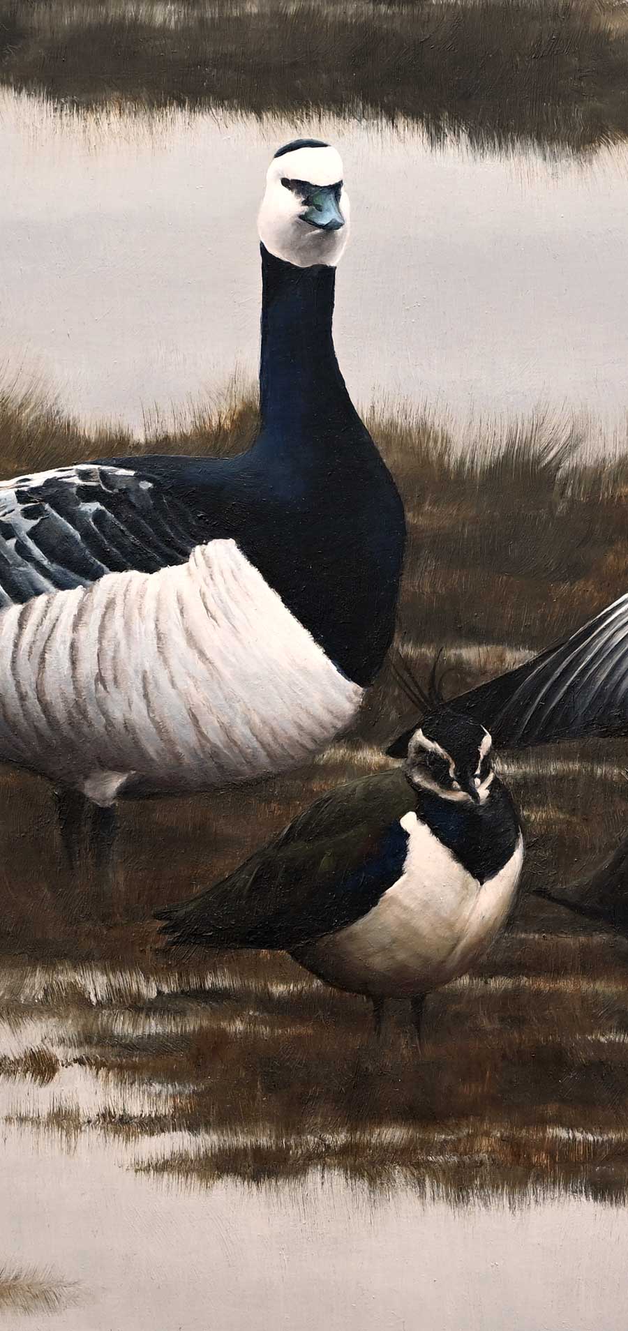 Barnacle Geese and Lapwing - An Original Oil Painting By Bird Artist Chris Lodge