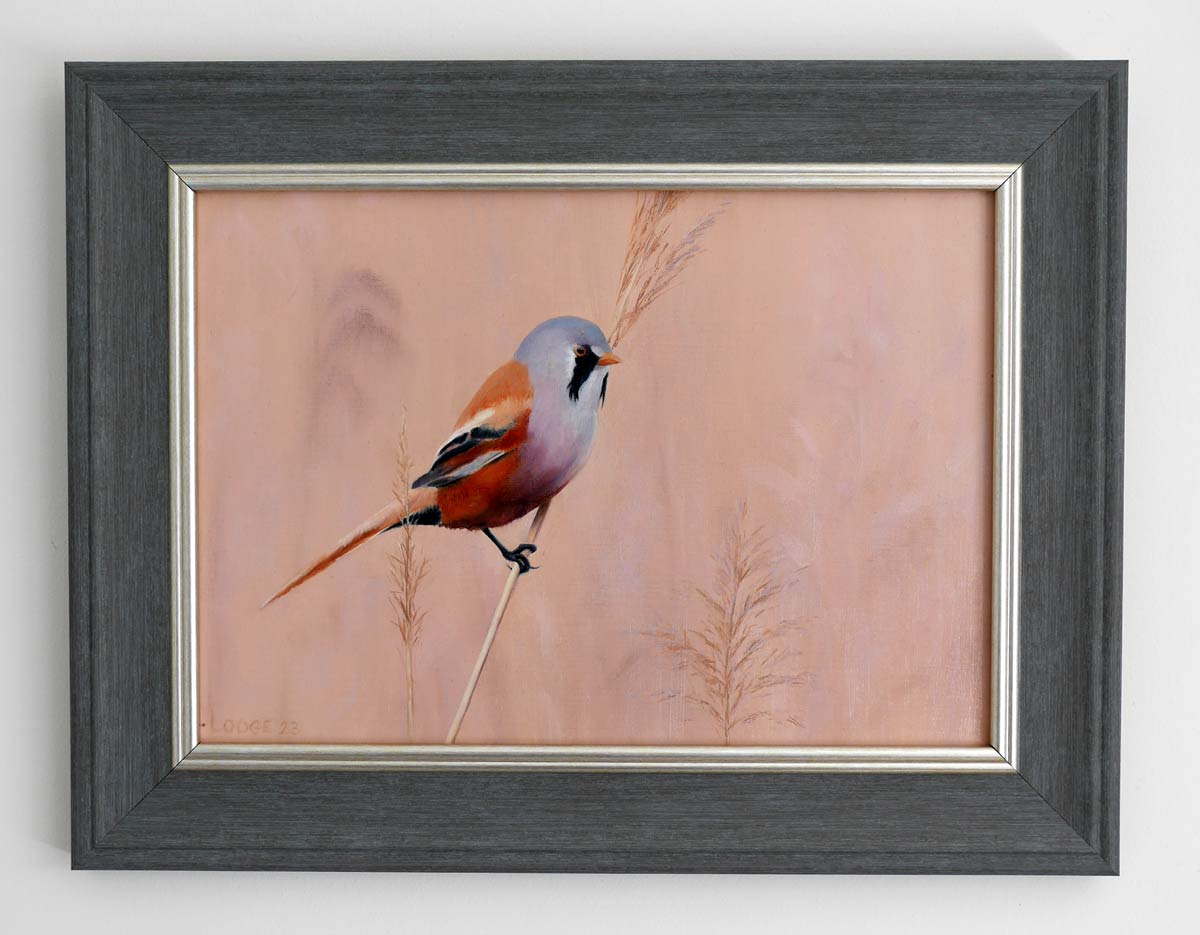 Bearded Tit Painting