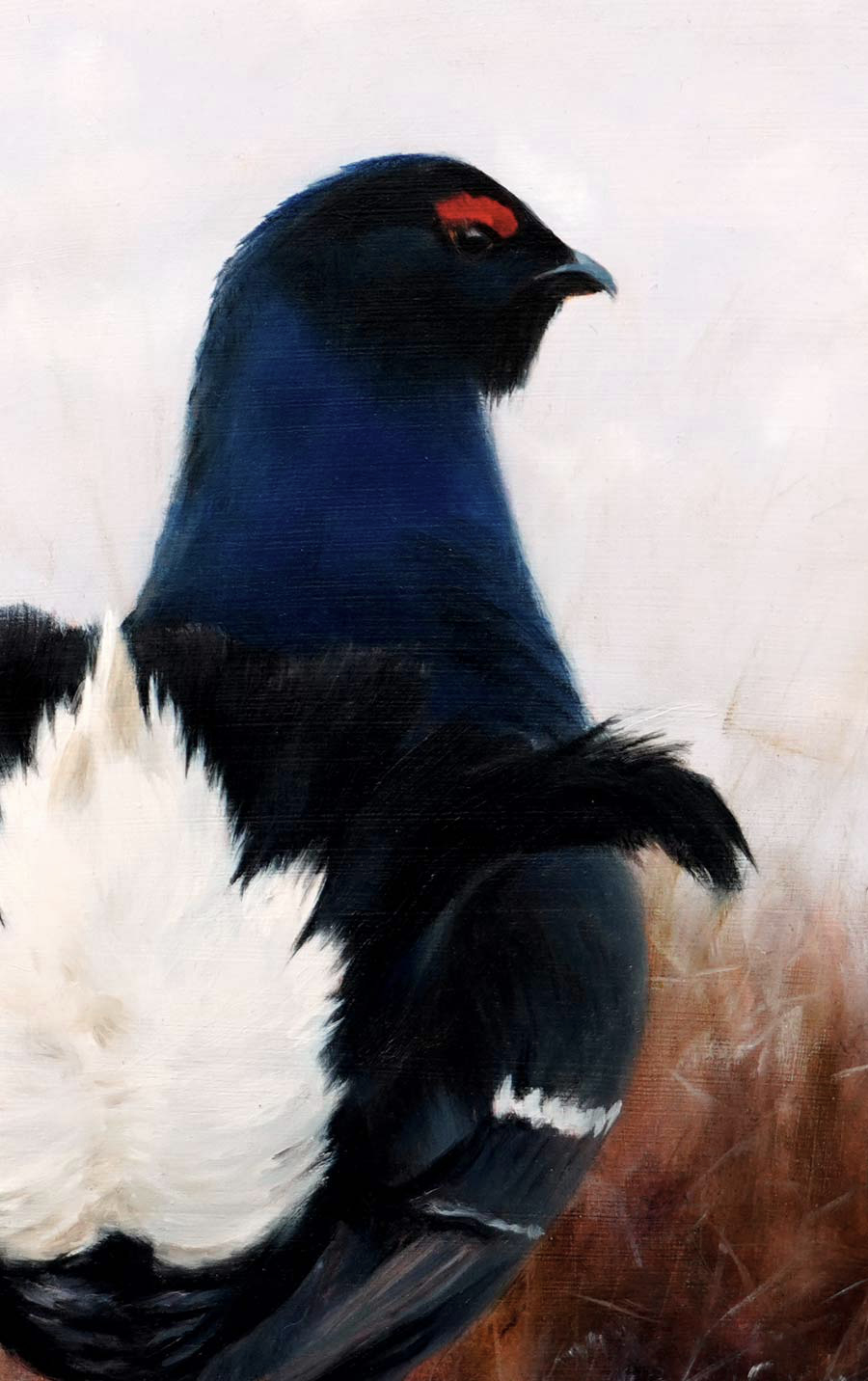 Black Grouse - An Original Oil Painting By Bird Artist Chris Lodge