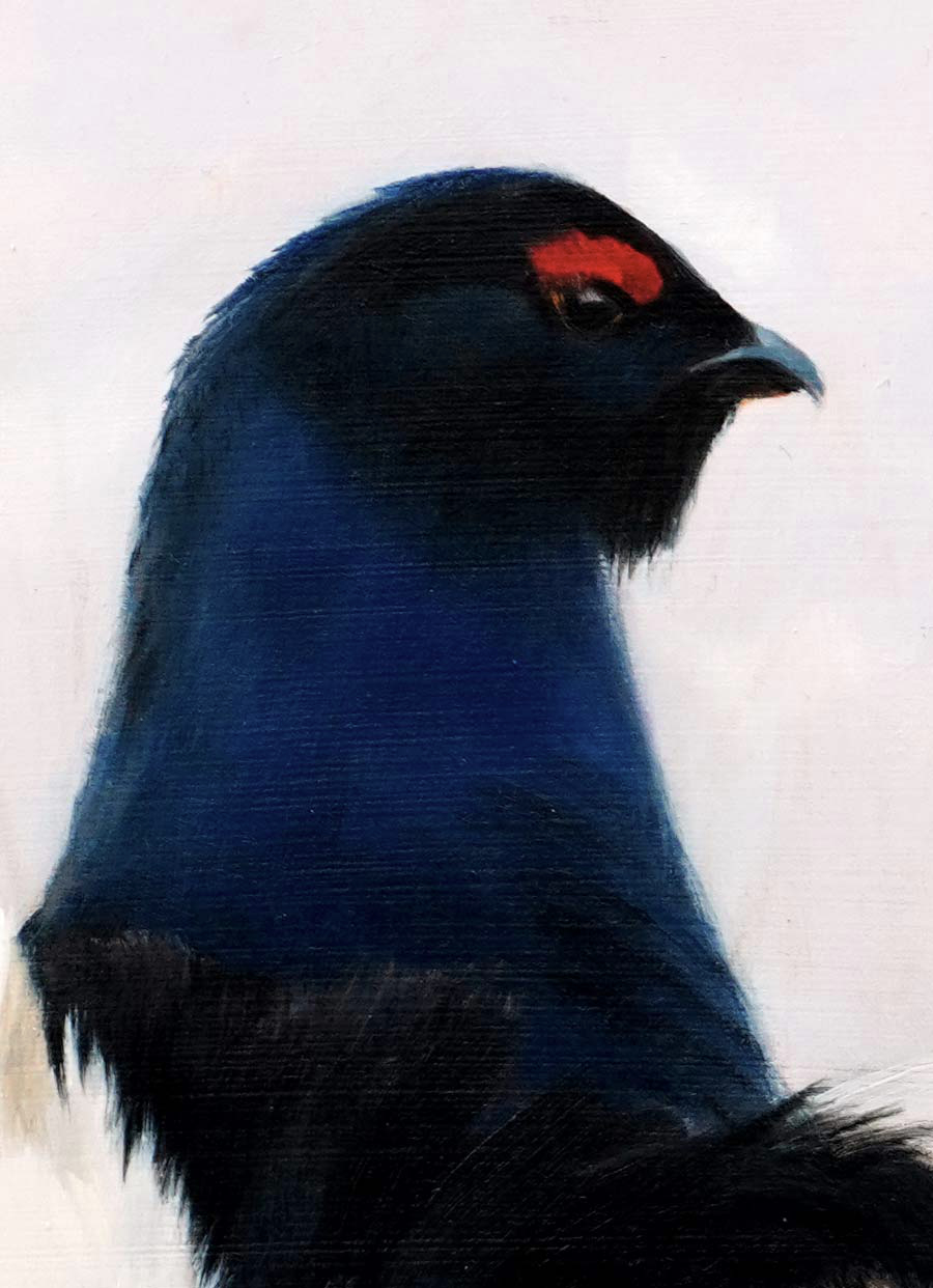 Black Grouse - An Original Oil Painting By Bird Artist Chris Lodge