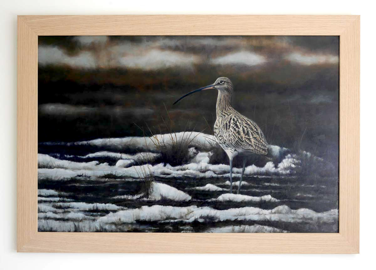 Curlew Winter Marsh - An Original Oil Painting By Bird Artist Chris Lodge