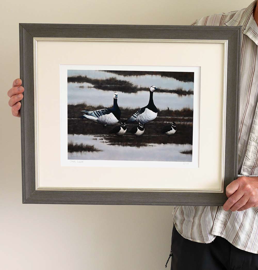 Barnacle Geese and Lapwing Bird Art Print