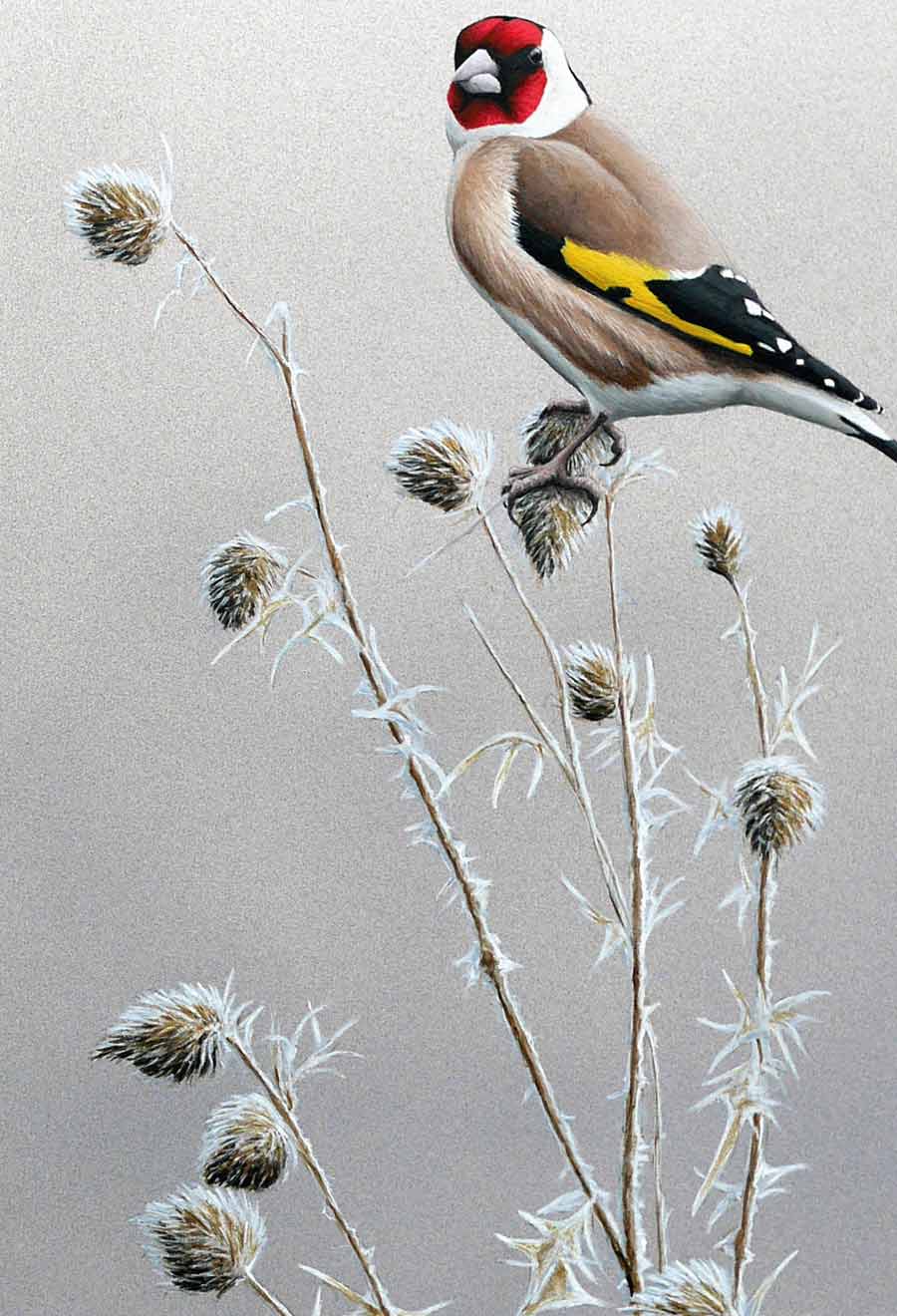 Goldfinch Print By Bird Artist Chris Lodge